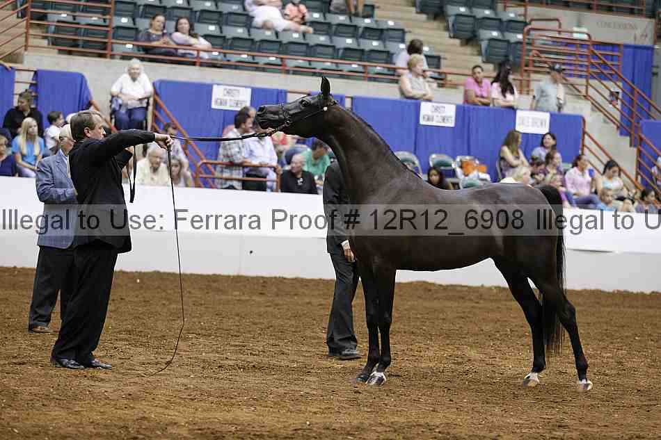 Proof Number 12r12_6908