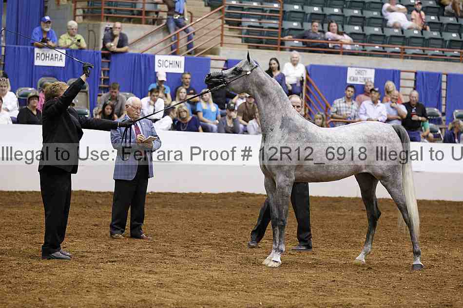 Proof Number 12r12_6918