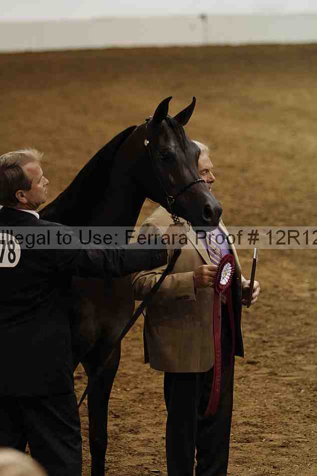 Proof Number 12r12_6932