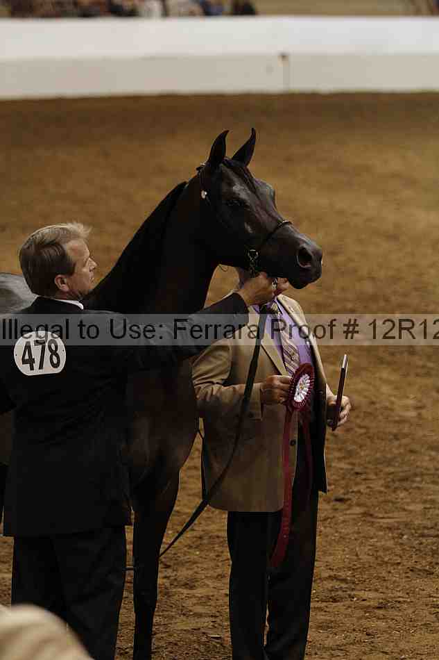Proof Number 12r12_6934