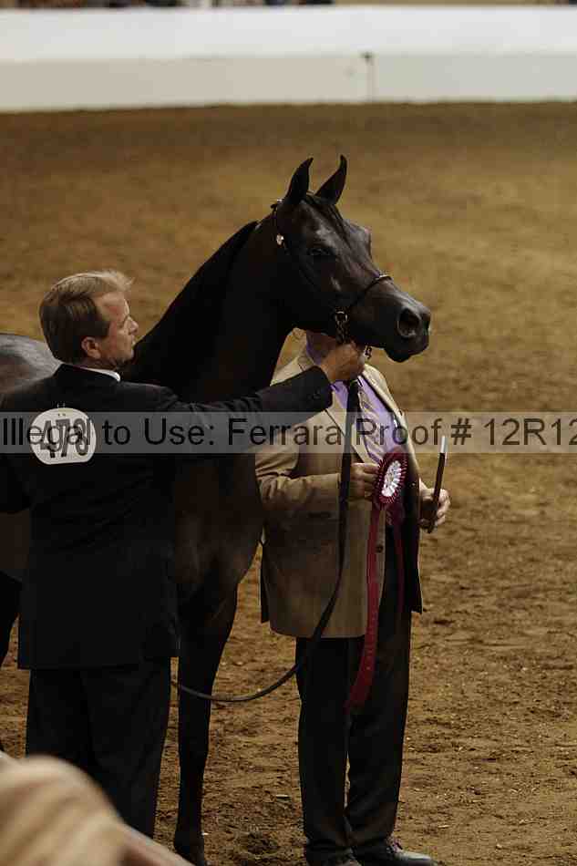 Proof Number 12r12_6935