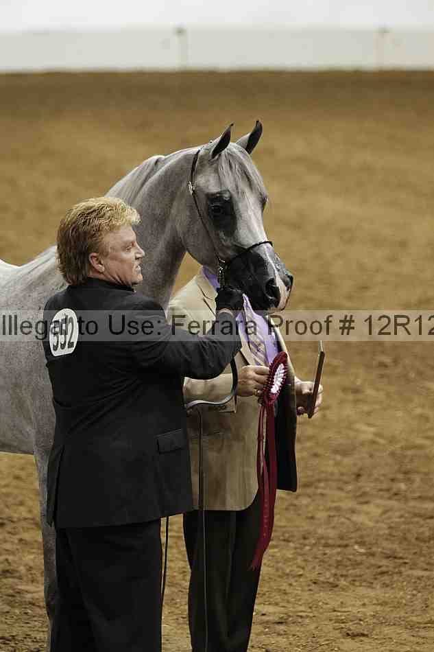 Proof Number 12r12_6936