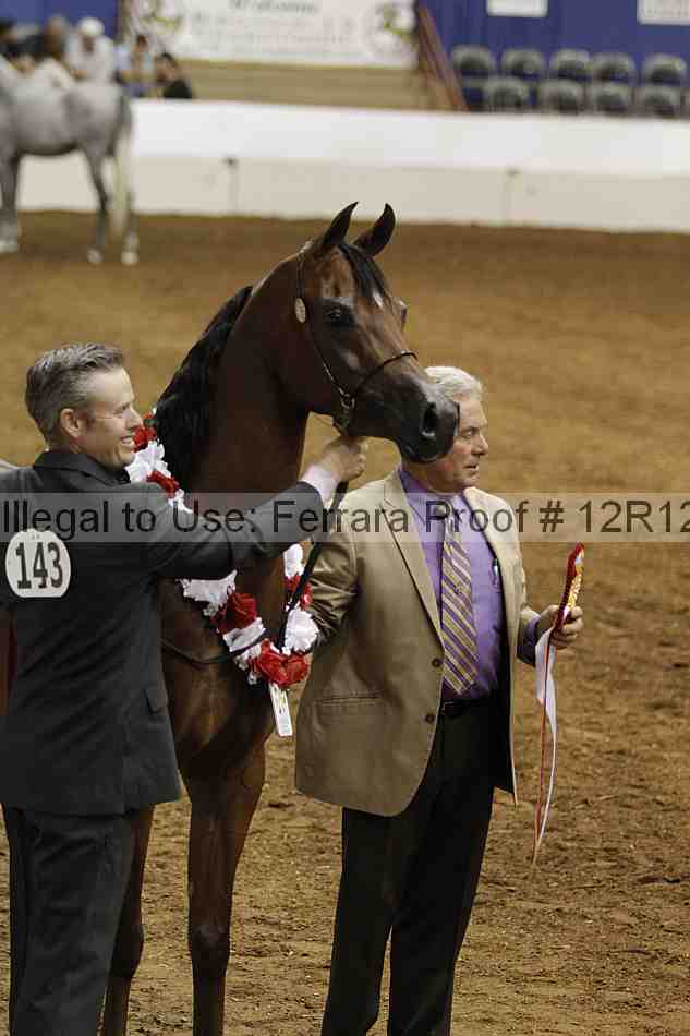 Proof Number 12r12_6940