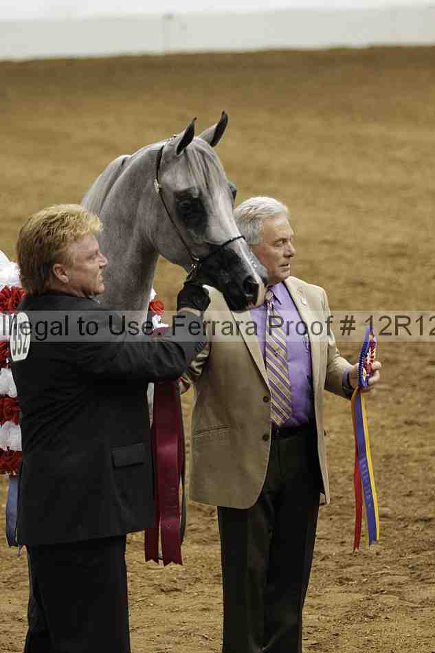 Proof Number 12r12_6943