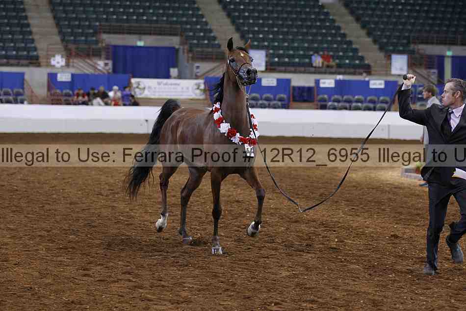 Proof Number 12r12_6955