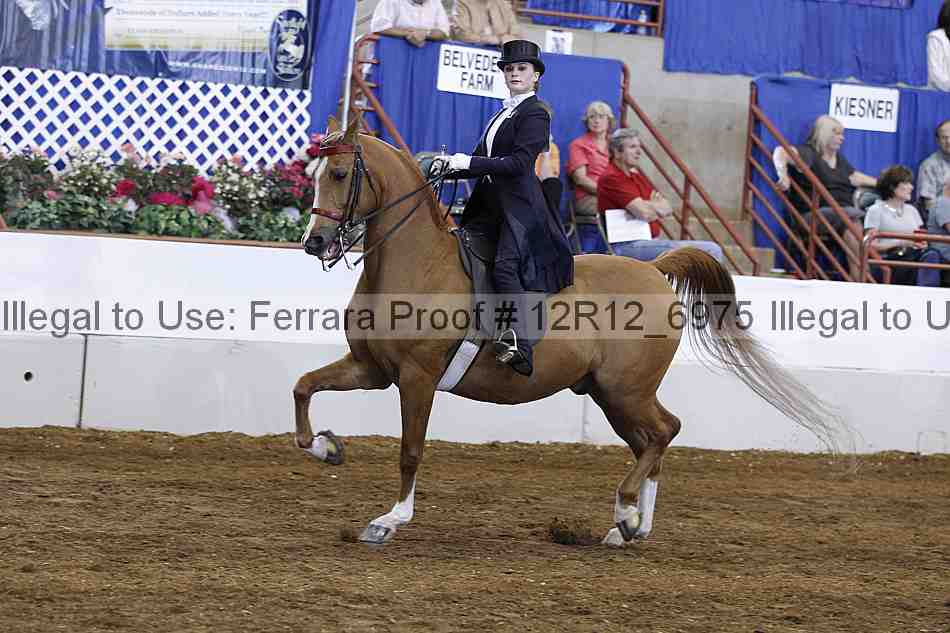 Proof Number 12r12_6975