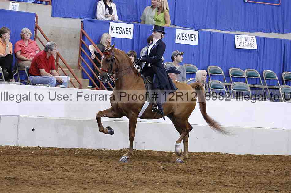 Proof Number 12r12_6982