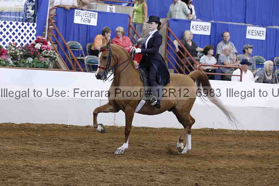 Proof Number 12r12_6983