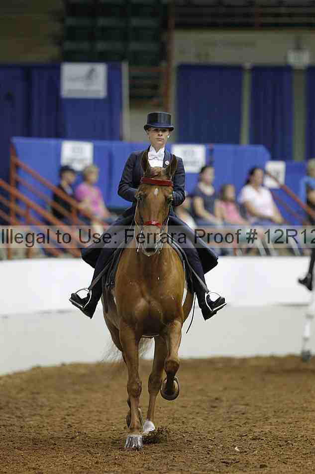 Proof Number 12r12_6985