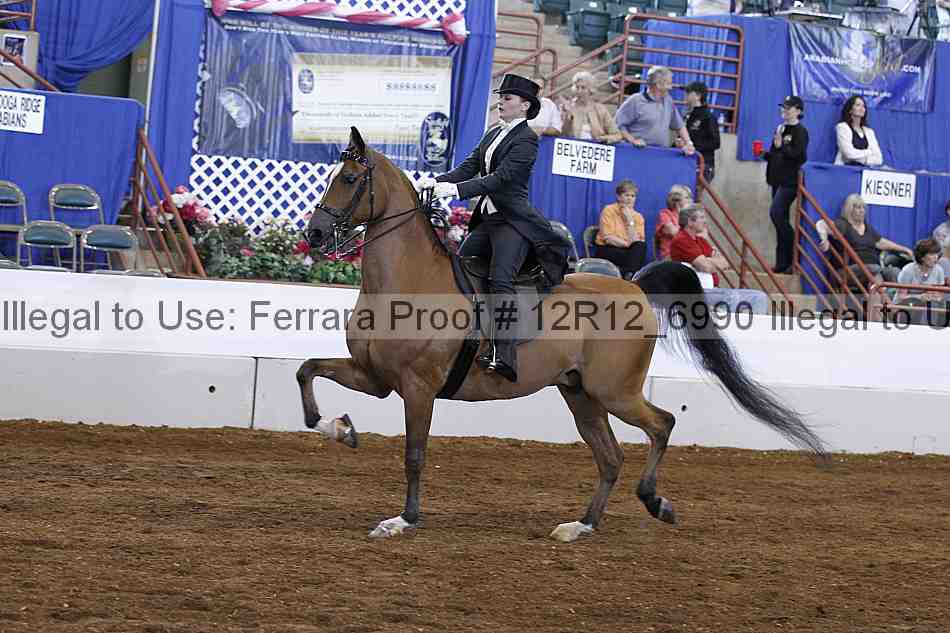 Proof Number 12r12_6990