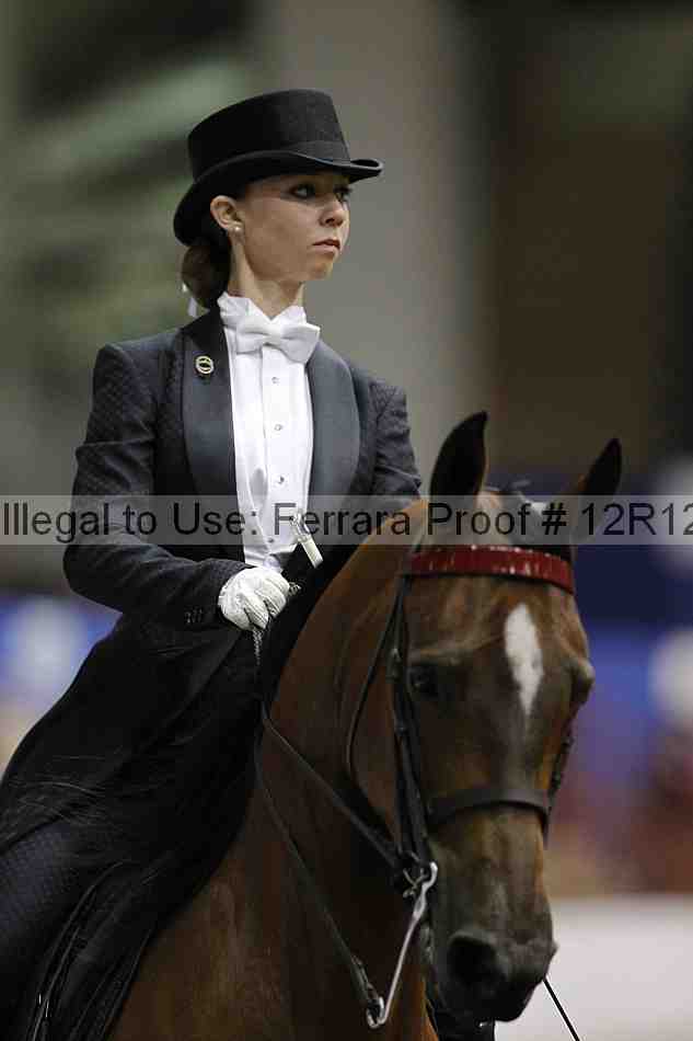 Proof Number 12r12_6991