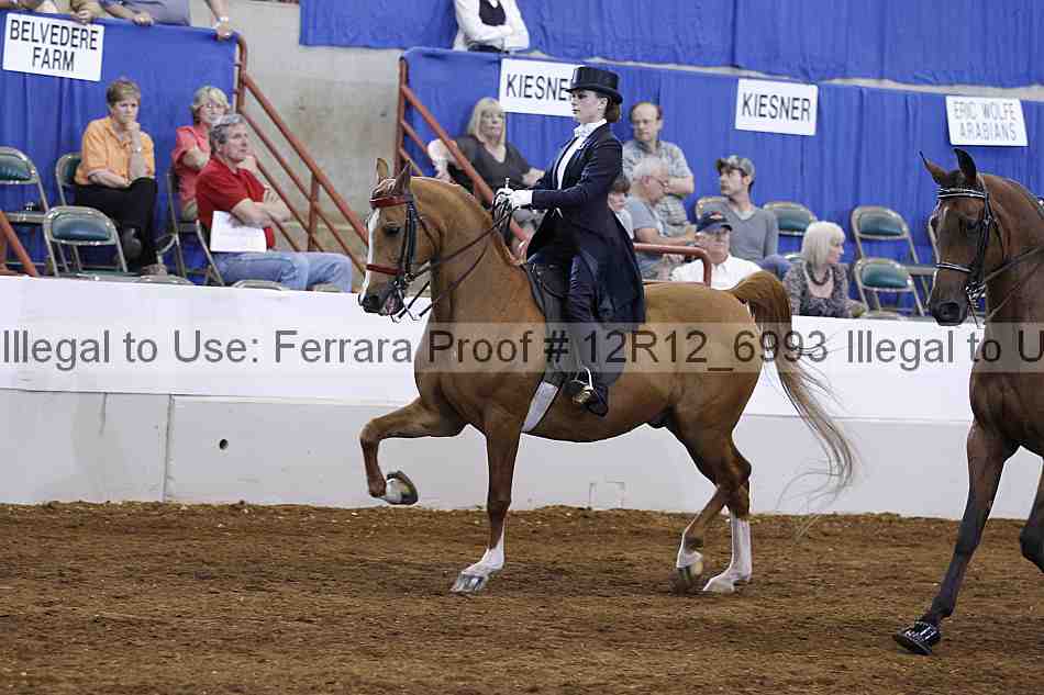 Proof Number 12r12_6993