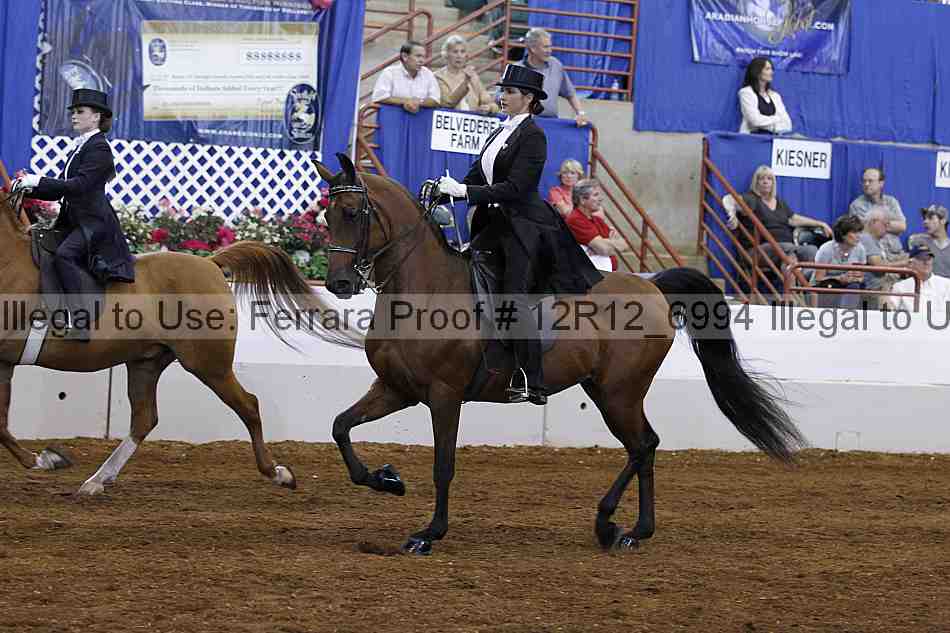Proof Number 12r12_6994