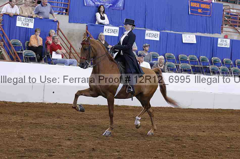 Proof Number 12r12_6995