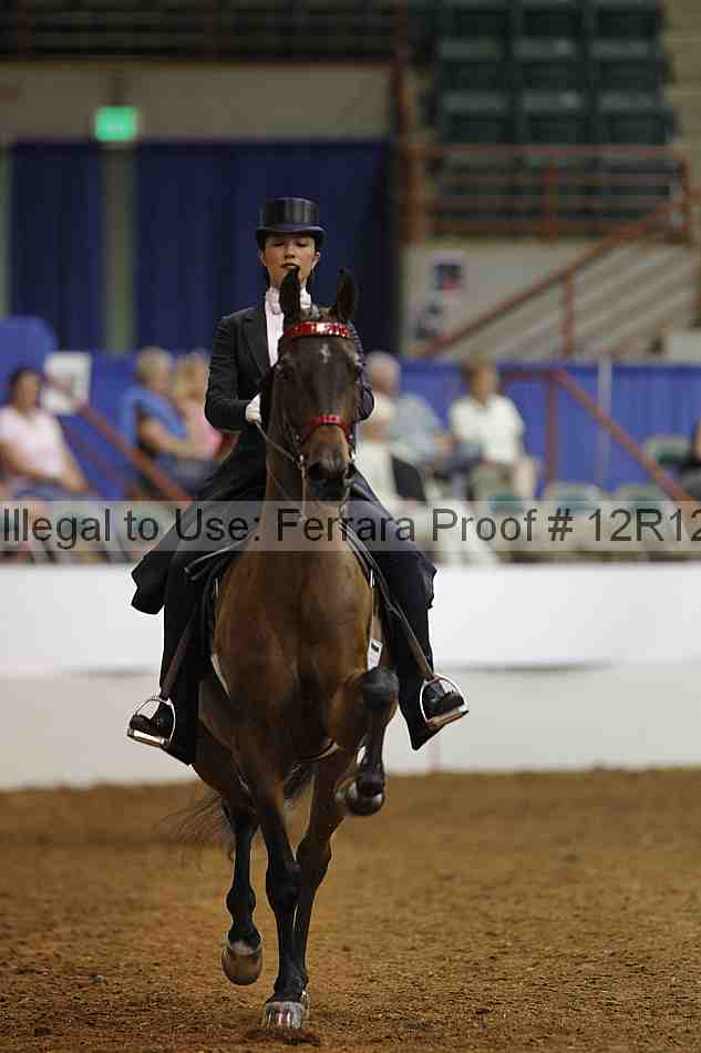 Proof Number 12r12_6996