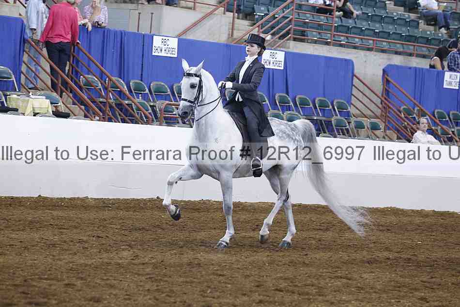 Proof Number 12r12_6997