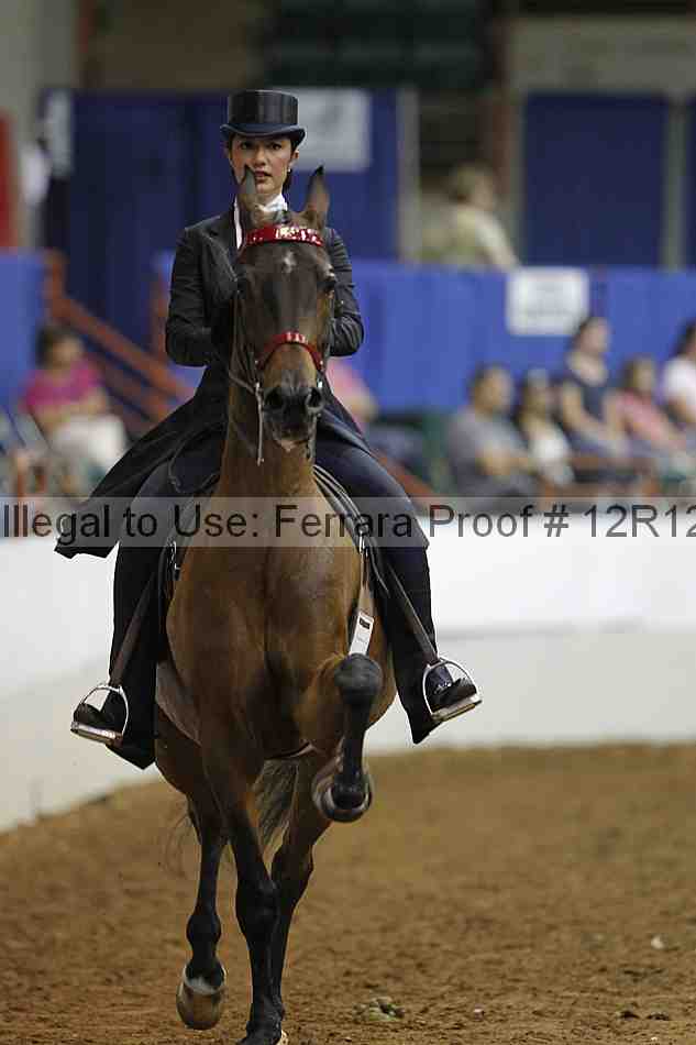 Proof Number 12r12_7005