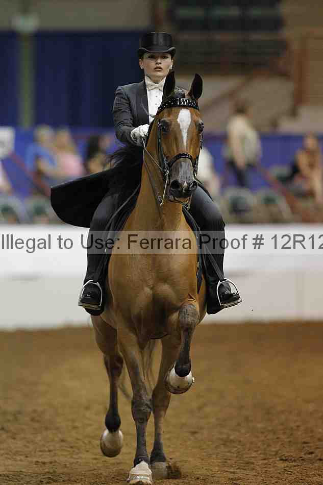 Proof Number 12r12_7006