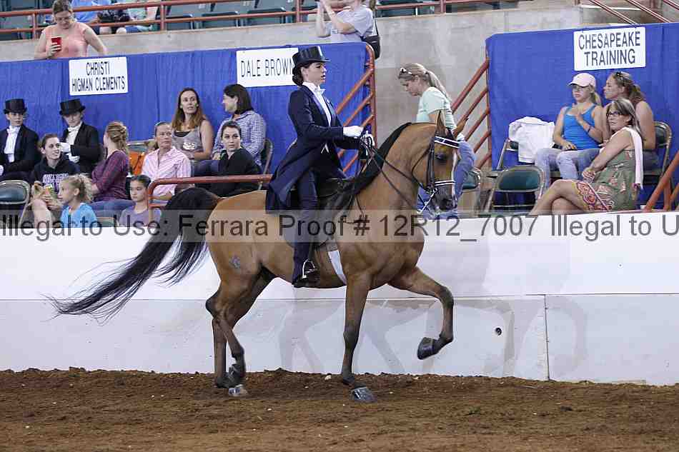 Proof Number 12r12_7007