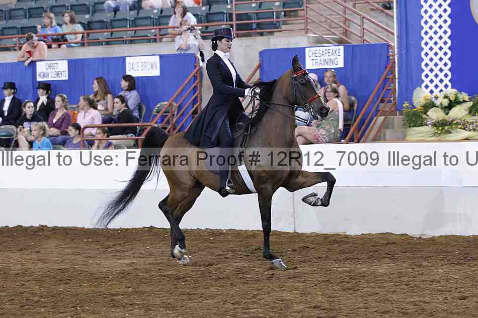 Proof Number 12r12_7009