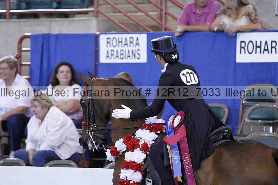 Proof Number 12r12_7033