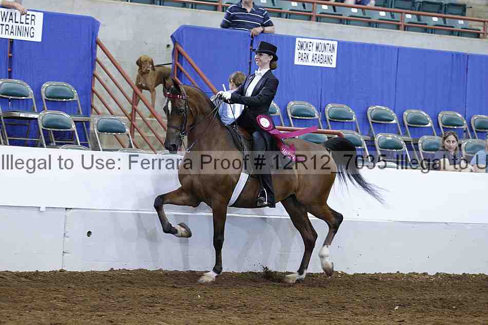 Proof Number 12r12_7035