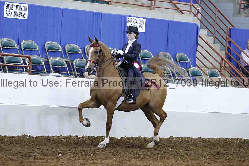 Proof Number 12r12_7039