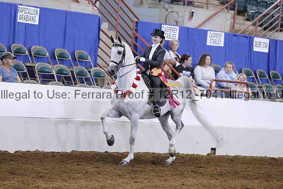 Proof Number 12r12_7041