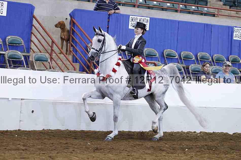 Proof Number 12r12_7042