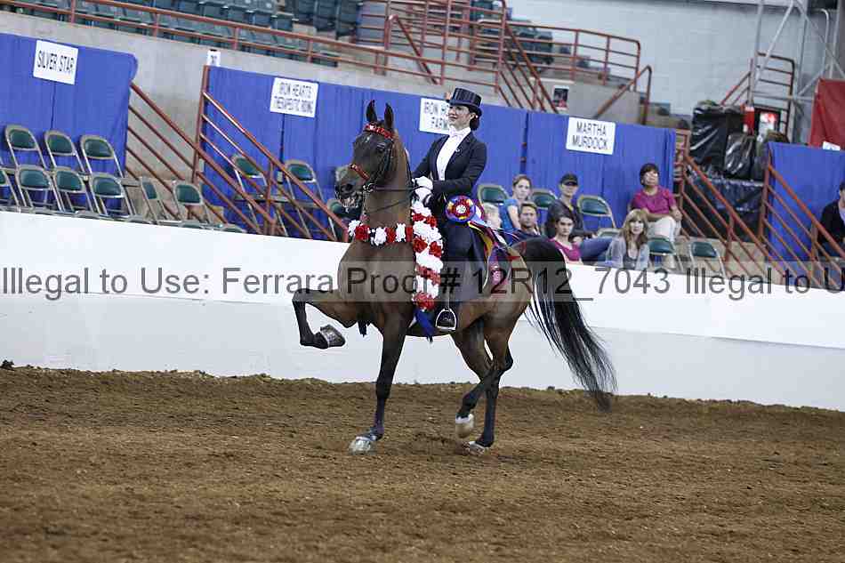 Proof Number 12r12_7043