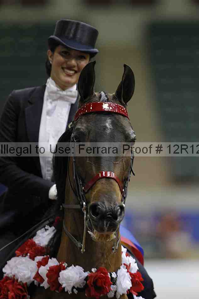 Proof Number 12r12_7057