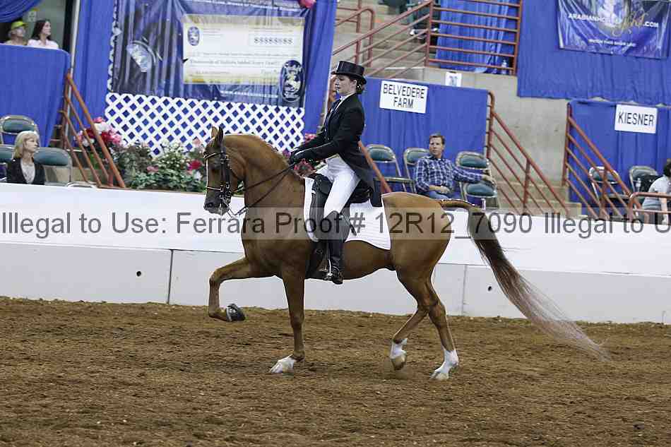 Proof Number 12r12_7090
