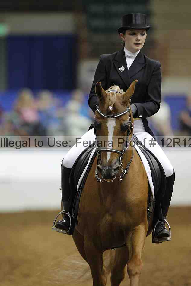Proof Number 12r12_7098