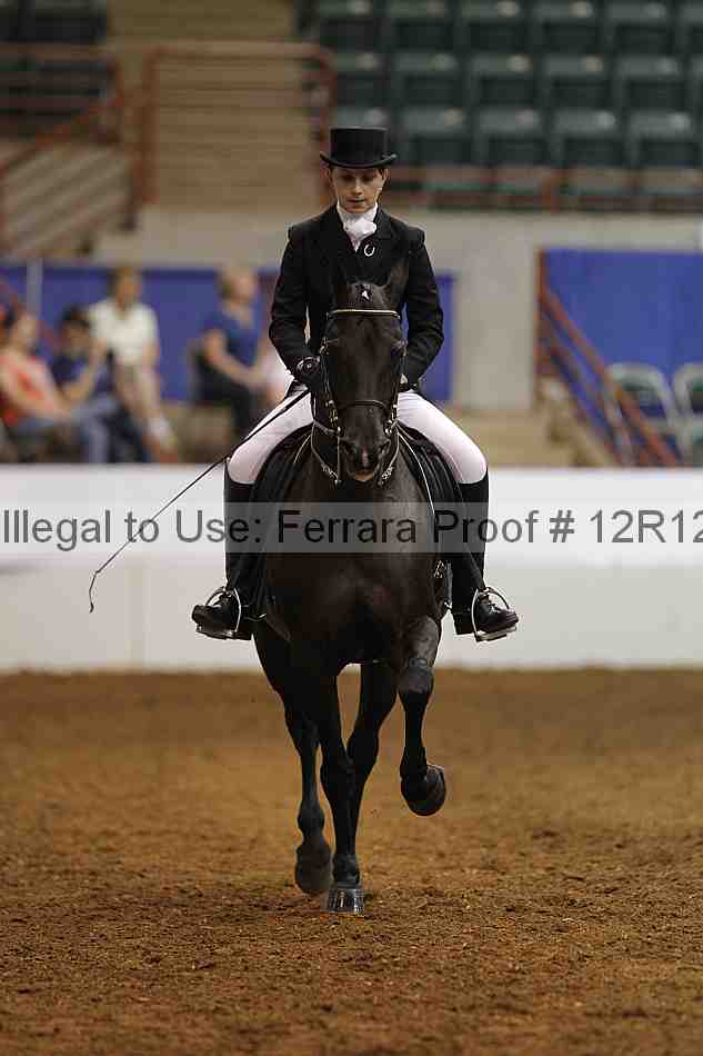 Proof Number 12r12_7101