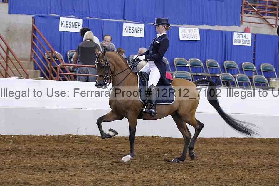 Proof Number 12r12_7102