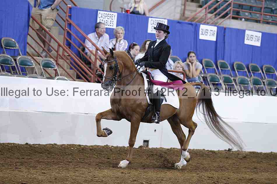 Proof Number 12r12_7113