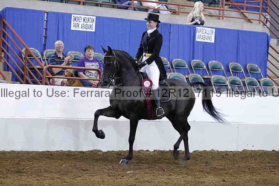Proof Number 12r12_7115