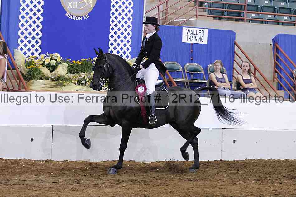 Proof Number 12r12_7116