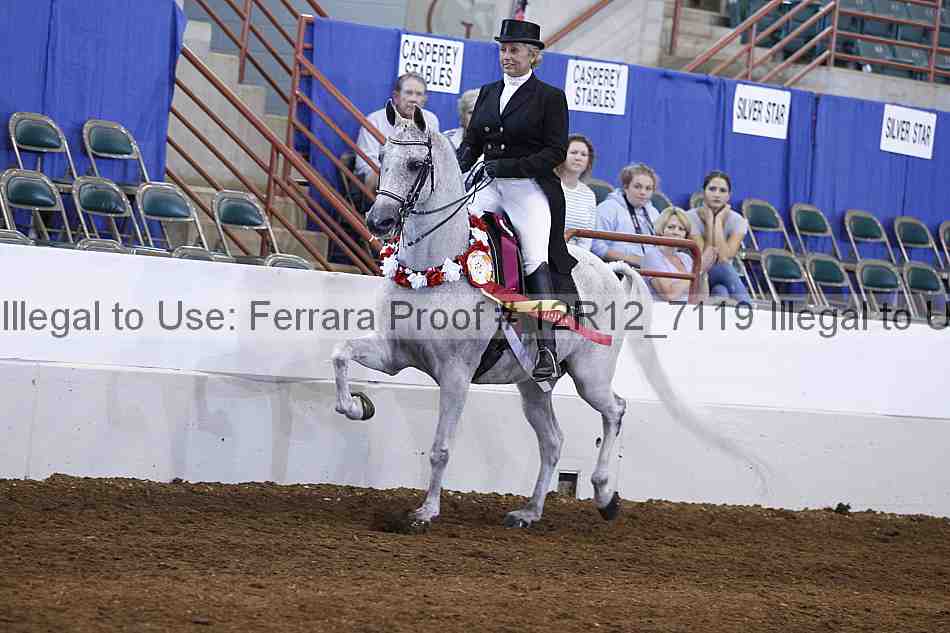 Proof Number 12r12_7119