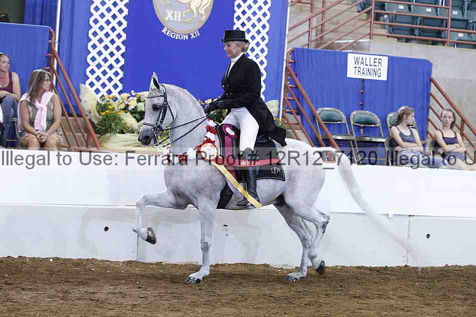 Proof Number 12r12_7120