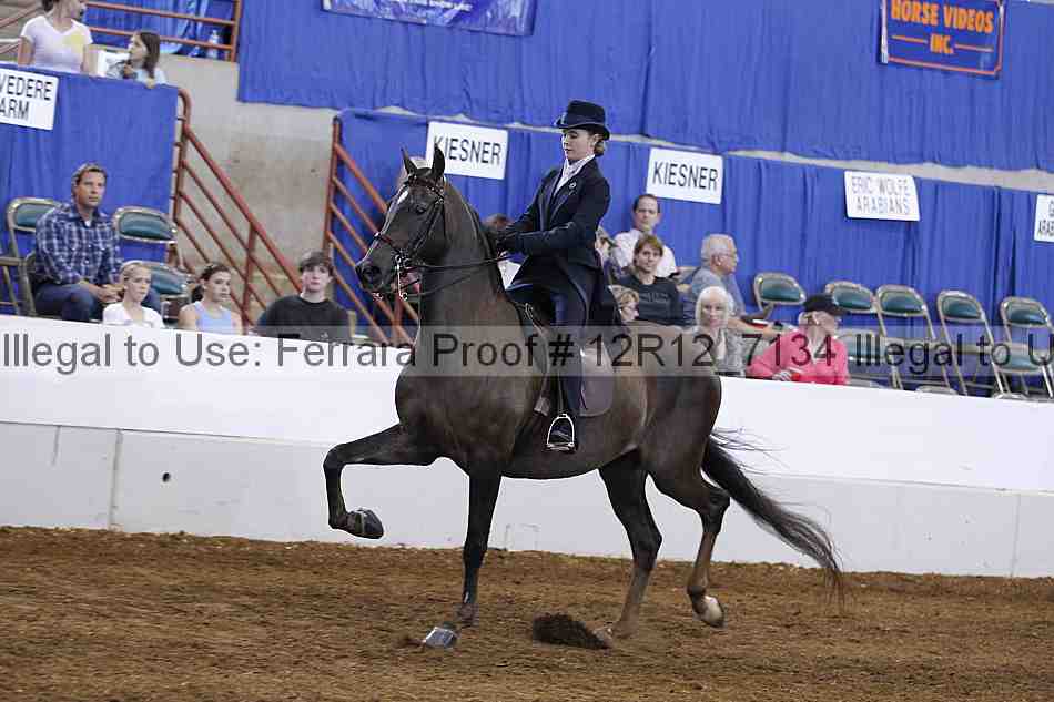 Proof Number 12r12_7134