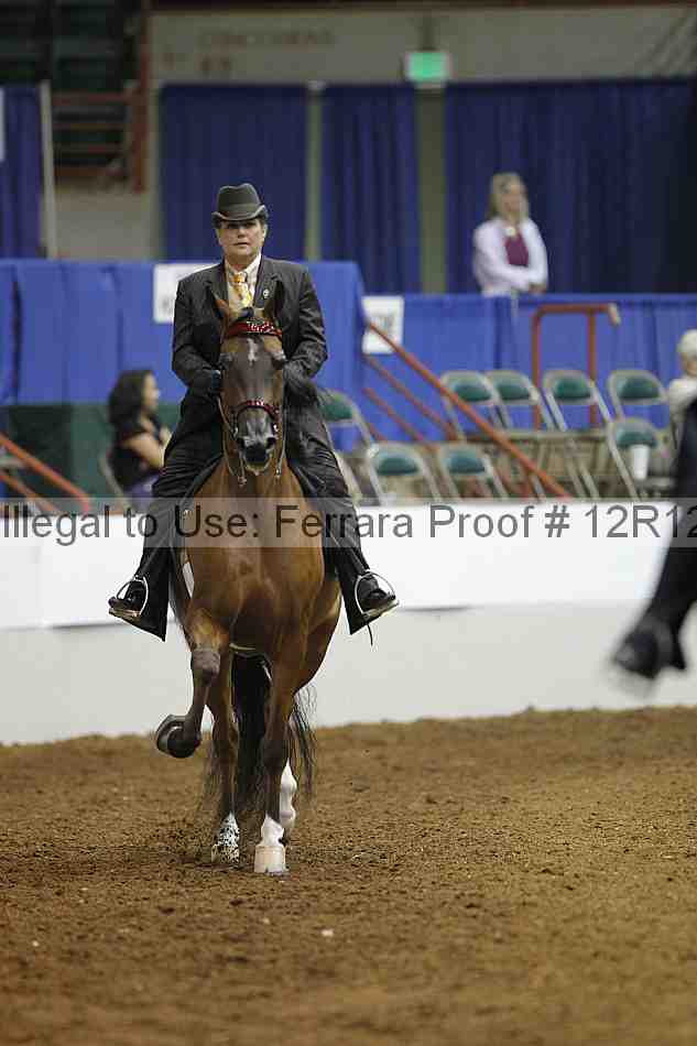 Proof Number 12r12_7157