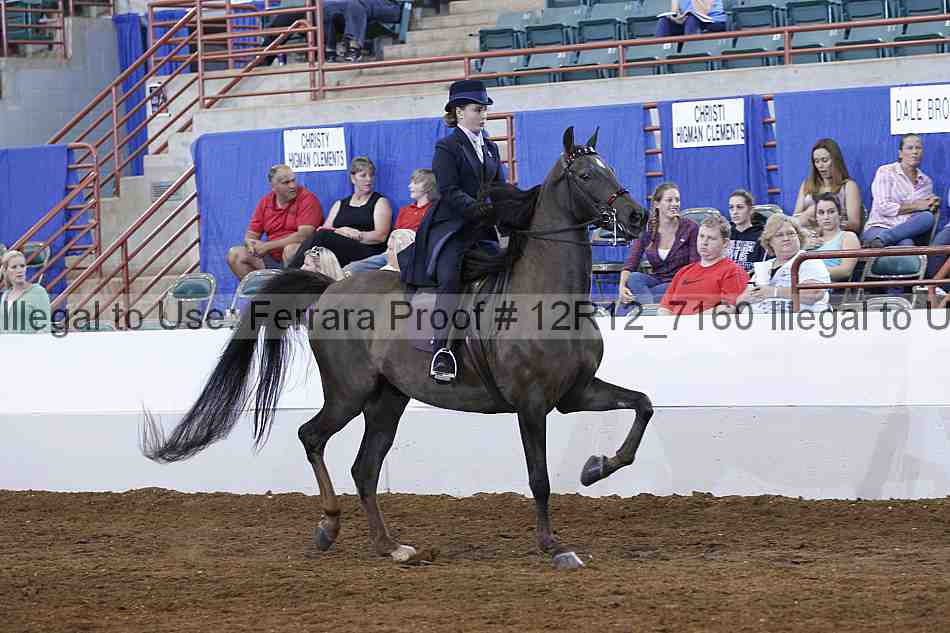 Proof Number 12r12_7160