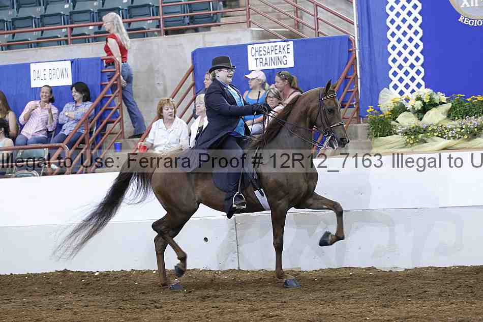 Proof Number 12r12_7163