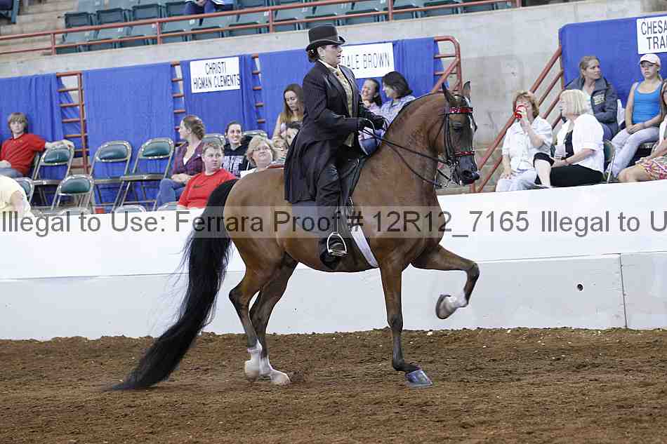 Proof Number 12r12_7165