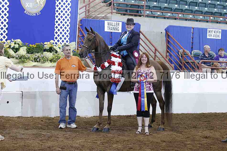 Proof Number 12r12_7176