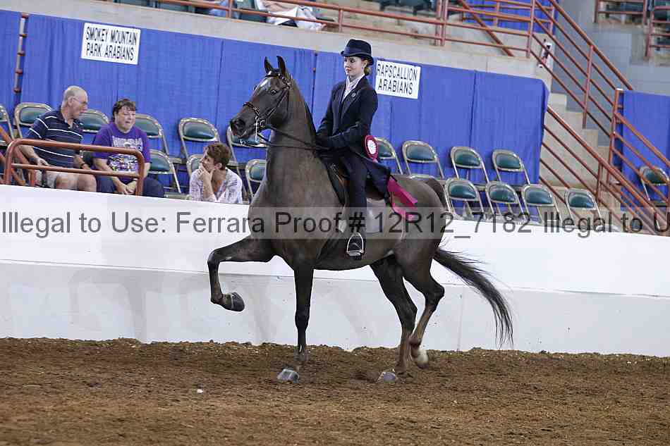 Proof Number 12r12_7182