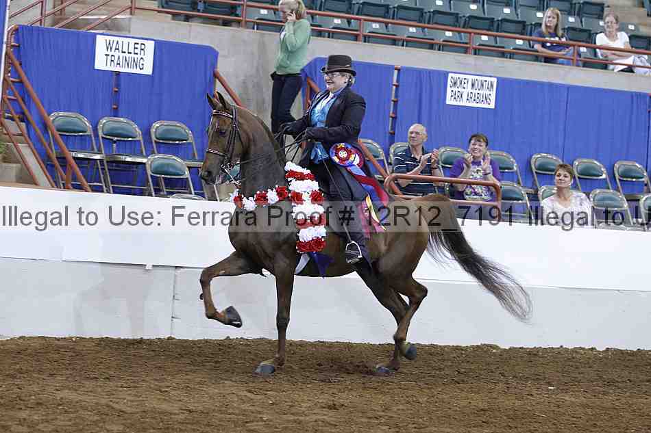 Proof Number 12r12_7191