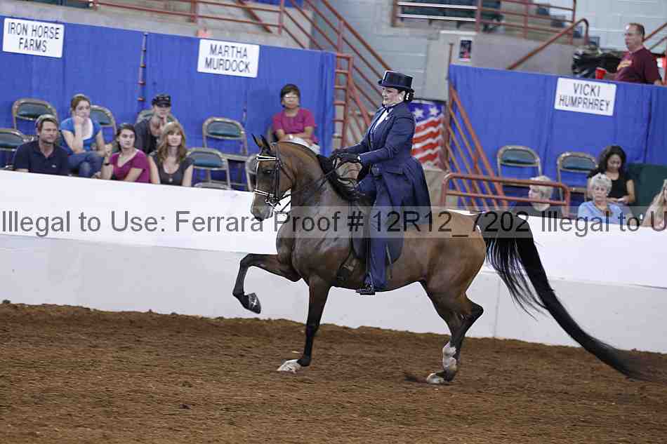 Proof Number 12r12_7202