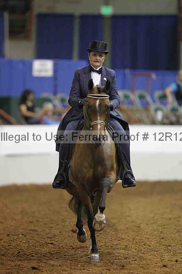 Proof Number 12r12_7203